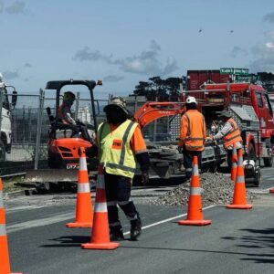 图片_20241117151007