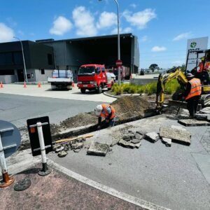 图片_20241117151055