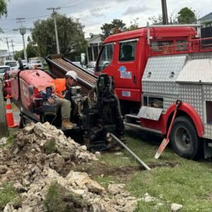 图片_20241117151101