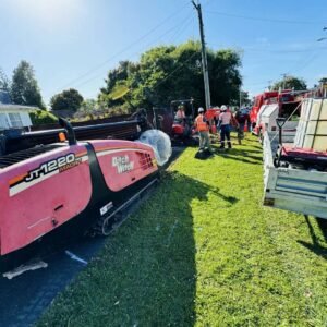 图片_20241117151106