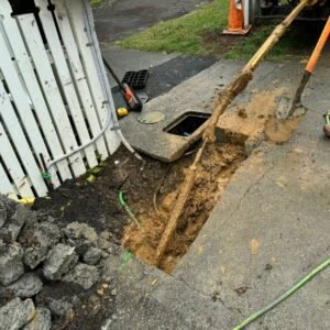 图片_20241117151112