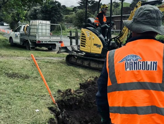 图片_20241117154506