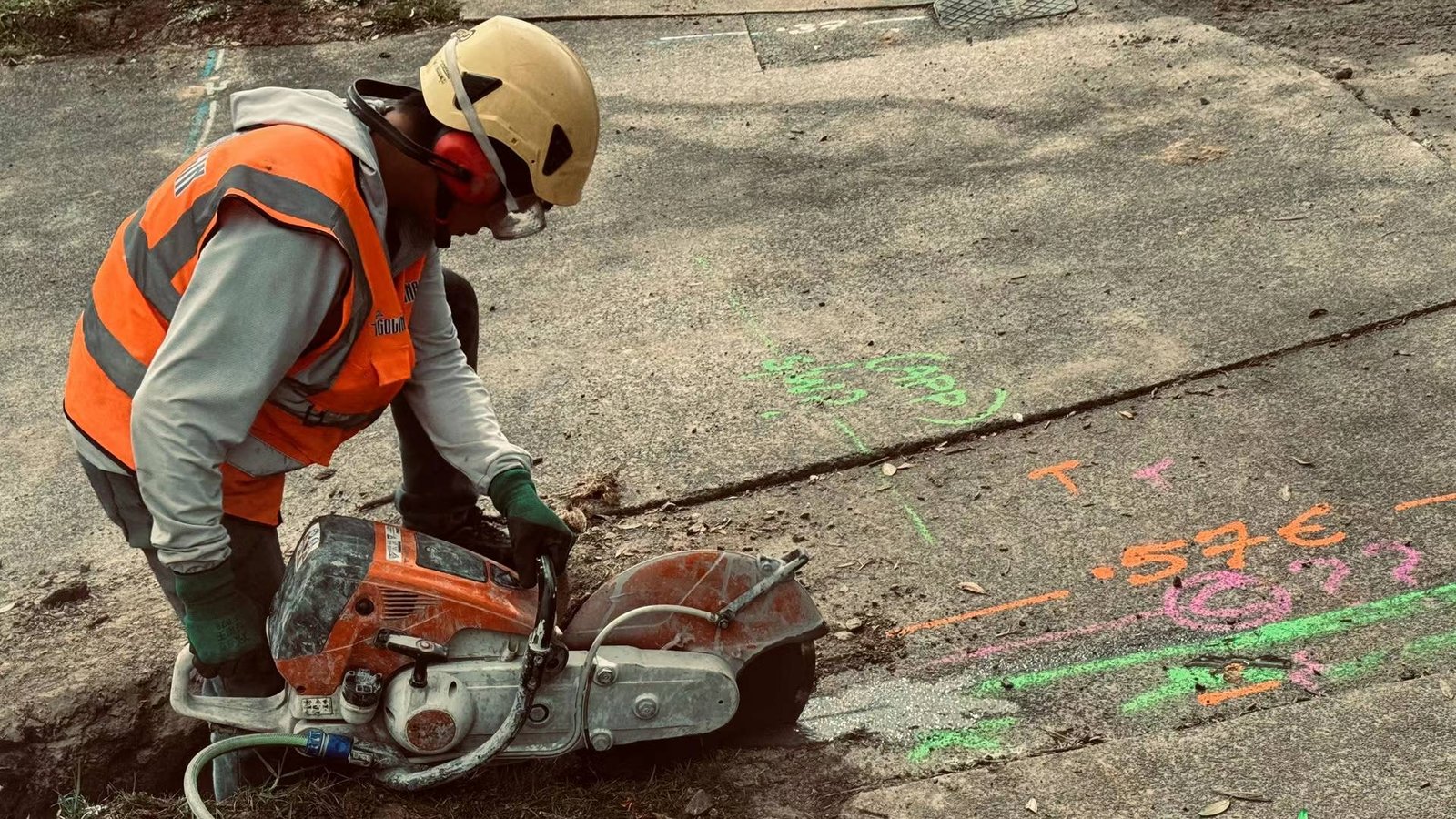 图片_20241117154525